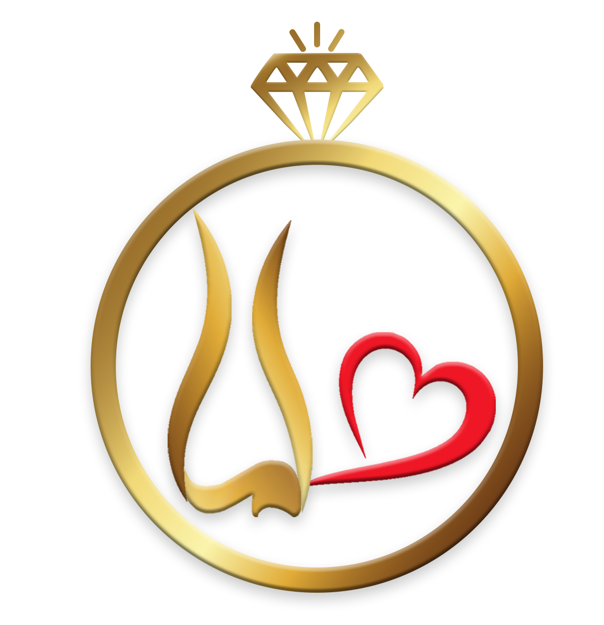 login-logo